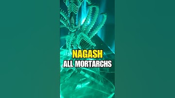 Neferata & All Mortarchs in Next Nagash DLC | Total War Warhammer 3