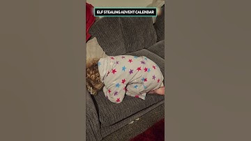 Elf On The Shelf Eats Girl