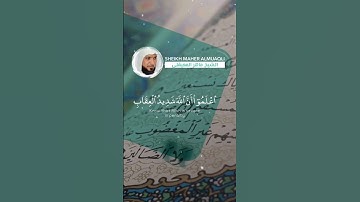 Surah Al Maida | سورة الماءدة 🍃 #quran #explore #احمد_النفيس #islam #احمدالعجمي