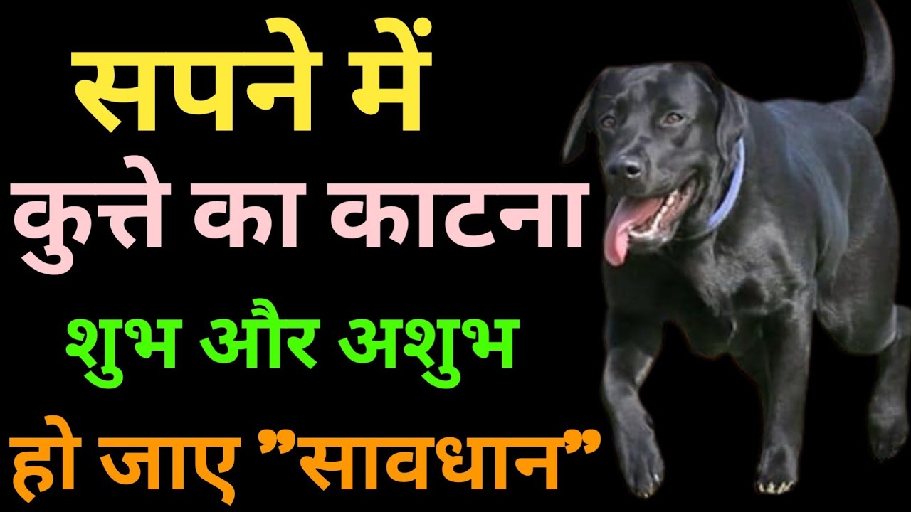 Sapne Me Kutte Ka Katna Seeing Dog Bite In Dream Kutte Ka Sapne Me