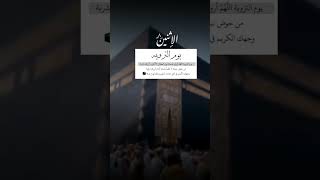 يوم التروية ٨ ذو الحجةلبيك اللهم لبيك #جديد #new #makkah #hajj