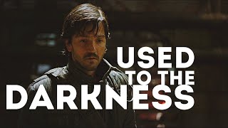 used to the darkness || cassian andor