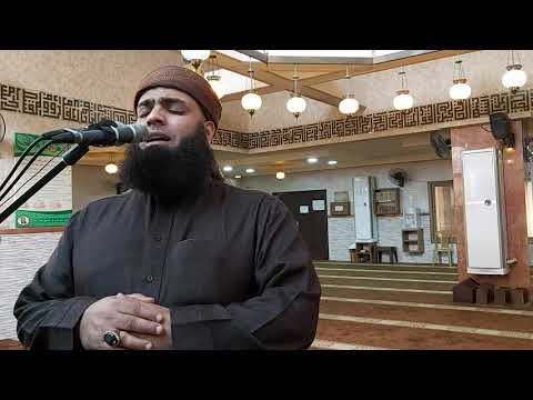 تلاوات لعدة مشايخ القارئ الشيخ إبراهيم وائل أبو بكر