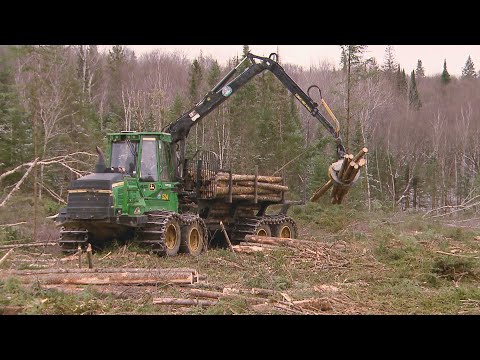 Vidéo: Où en est l'industrie forestière au Canada?