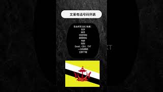 文莱电话号码列表 用于社交媒体营销