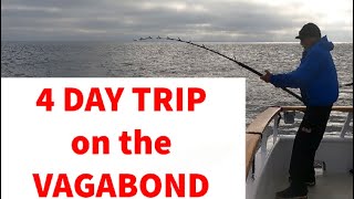 What to expect on a 4 day fishing trip out of San Diego - Bluefin Tuna on the Vagabond
