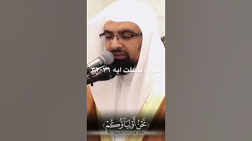 تلاوه هادئة من سورة فصلت للشيخ ناصر القطامي