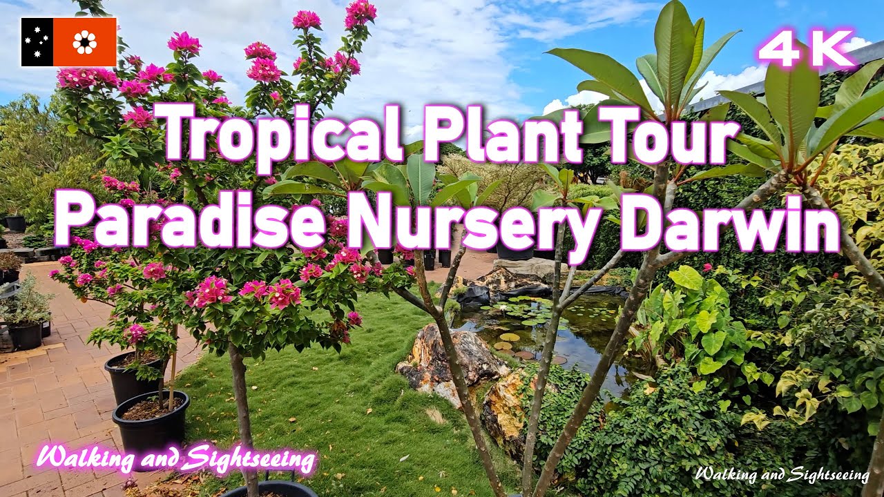 Paradise Nursery Darwin 🌴Tropical Plant Tour at Knuckey Lagoon’s Hidden Garden Gem 🌺Drive & Walk NT