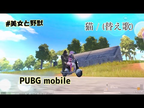 猫 /替え歌