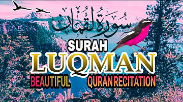 سورة لقمان كاملة 🧡#تلاوة_خاشعة🌧#تريح_النفس🎧 #بصوت القارئ محمد هشام SURAH AL-LUQMAN FULL