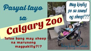 Pasyal sa Calgary zoo/ #Vlog3