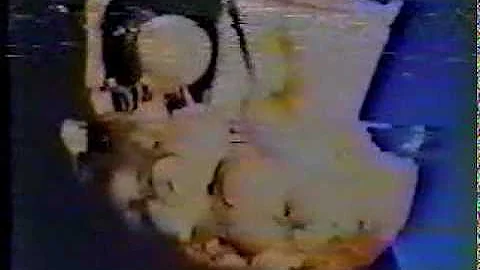 Pink Floyd Brain Damage & Eclipse Live 1974