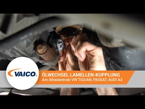 Ölwechsel Lamellen Kupplung mit EXPERT-KITS+ V10-5600 [VW Tiguan, Passat, AUDI A3, ŠKODA Octavia]