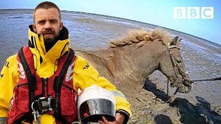 How do you save a trapped horse from drowning? | Saving Lives At Sea  BBC