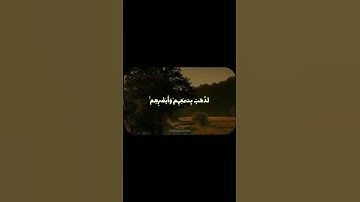 يكاد البرق يخطف ابصارهم سورة البقرة 1422هـ بصوت مشارى راشد العفاسي قرآن العفاسي#مشاري_العفاسي