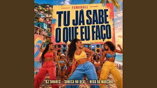 TU JA SABE O QUE EU FAÇO - FUNKHALL