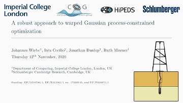 Johannes Wiebe: A robust approach to warped Gaussian process-constrained optimization
