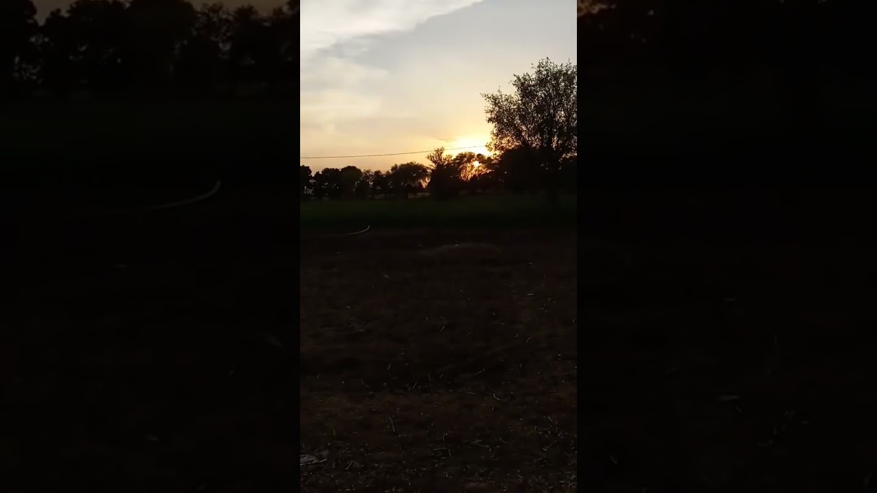 mini vlog 6 #mamosarobyavv #wedding #villagescenery  #bnamsarobyavv🤗🥰