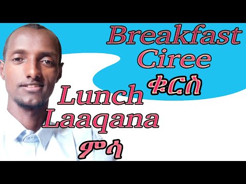 Afaan Oromoo Amharic English Restaurant Phrases Ordering Food More