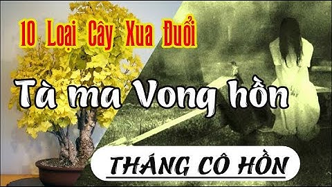 10 LOẠI CÂY GIÚP XUA ĐUỔI TÀ MA VONG HỒN THÁNG CÔ HỒN _ MÊ BONSAI