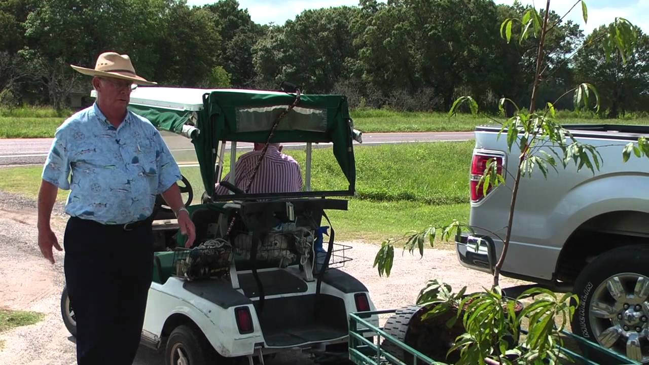 Hawkins Corner Nursery YouTube