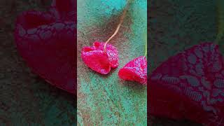 easy latkan design tutorial for beginners beutiful latkan design tutorial #latkan #viral #short #diy