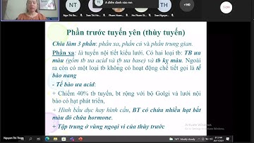 Bài 17 ( Mô Phôi) hệ nội tiết