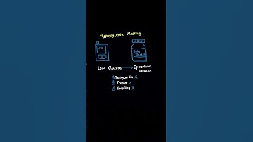 D027 OA – Het ene concept dat u moet begrijpen