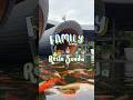 Restoran Sunda Jogja cocok utk makan keluarga pas liburan #kulinerjogja #restosunda #LalawuhSunda
