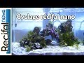 Vlog3 axel  cyclage aquarium nano rcifal