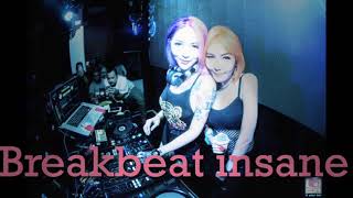 Breakbeat Insane 2020! Gaspol broo..🕺💃