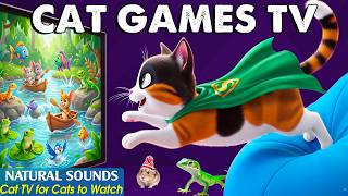 STIMULATING CAT TV 📺 3D CAT GAMES TV for Cats to Watch | Safe On-Screen Hunting Fun for Anxious Cats