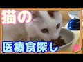 猫に新しいケア食のフードをあげてみたところ・・・☆I gave my cat a new care food...