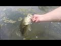 Fishing for fired up largemouth