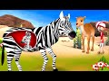 गर्भवती जेब्रा - Pregnant Zebra's Pain Kahani | Hindi Moral Stories | JOJO TV Hindi Fairy Tales