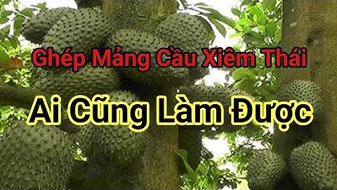 (Kỹ Thuật) Cách ghép mảng cầu xiêm thái ai cũng làm được | Nguyễn Văn Lưu