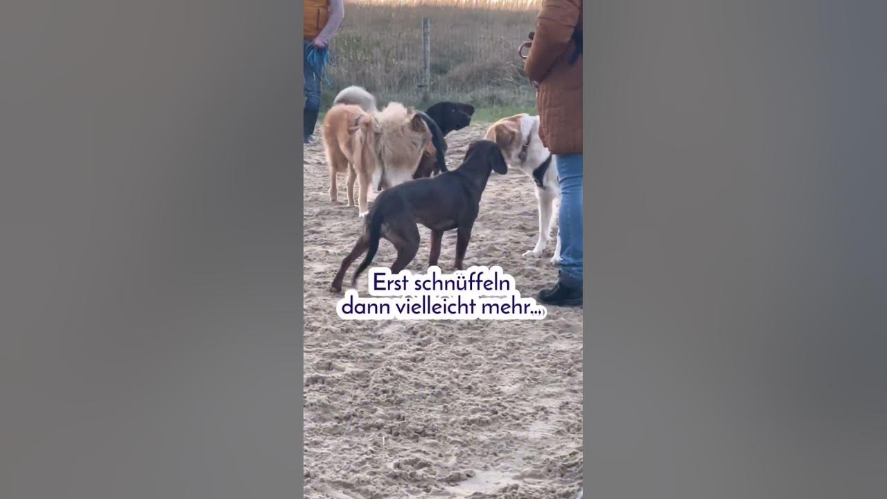 jobsuche cuxhaven