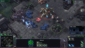 Starcraft II Possible map hacker. You be the judge.