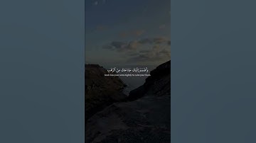 سورة القصص | ياسر الدوسري #المصحف