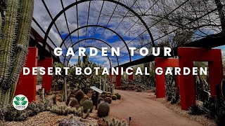 Desert Dreamscape: Exploring the Desert Botanical Gardens Phoenix