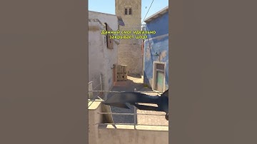 Mirage - Смок на шорт #cs2smokes #csgo #cs2 #кс2