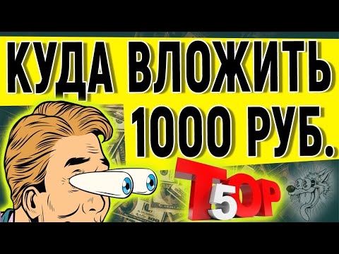 Инвестиции для начинающих. Как начать инвестировать с 1000 рублей. Куда вложить деньги от 1000 руб.?