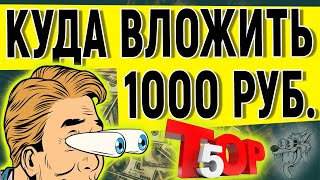 Инвестиции для начинающих. Как начать инвестировать с 1000 рублей. Куда вложить деньги от 1000 руб.?