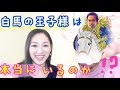 白馬の王子様は本当にいるのか!?パートナーに出逢う前に絶対に知っておいた方が良いこと!