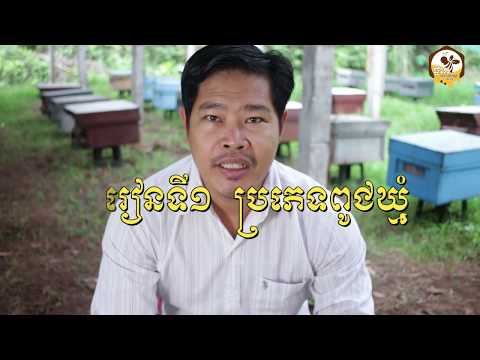 Bee Lesson 1 មេរៀនទី១ ការចិញ្ចឹមឃ្មុំ