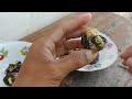 How to Clean Snails for Cooking that Easy Way