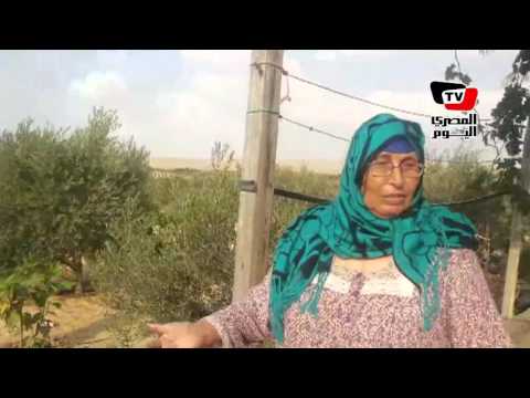 مزارعو القنطرة شرق يشكون إزالة أراضيهم