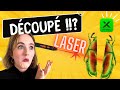 Dcouper des insectes au laser  avec la xtool m1