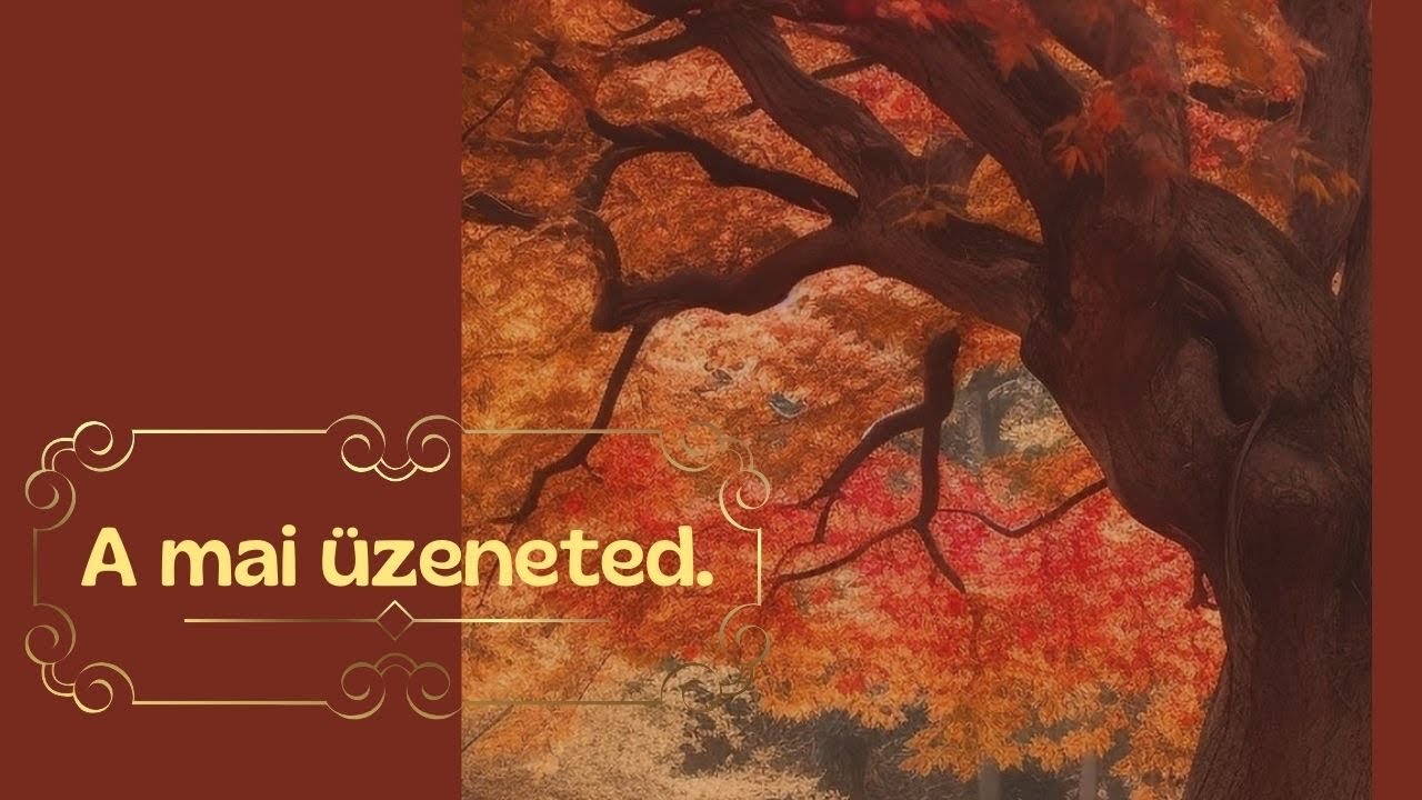 A MEGFELELŐ LÉPÉST SZERETNÉ MEGTENNI.🩷🎀 • Különleges üzenet ☕️