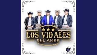 Video thumbnail of "Los Vidales Del Amor - Clasicos Del Sound"